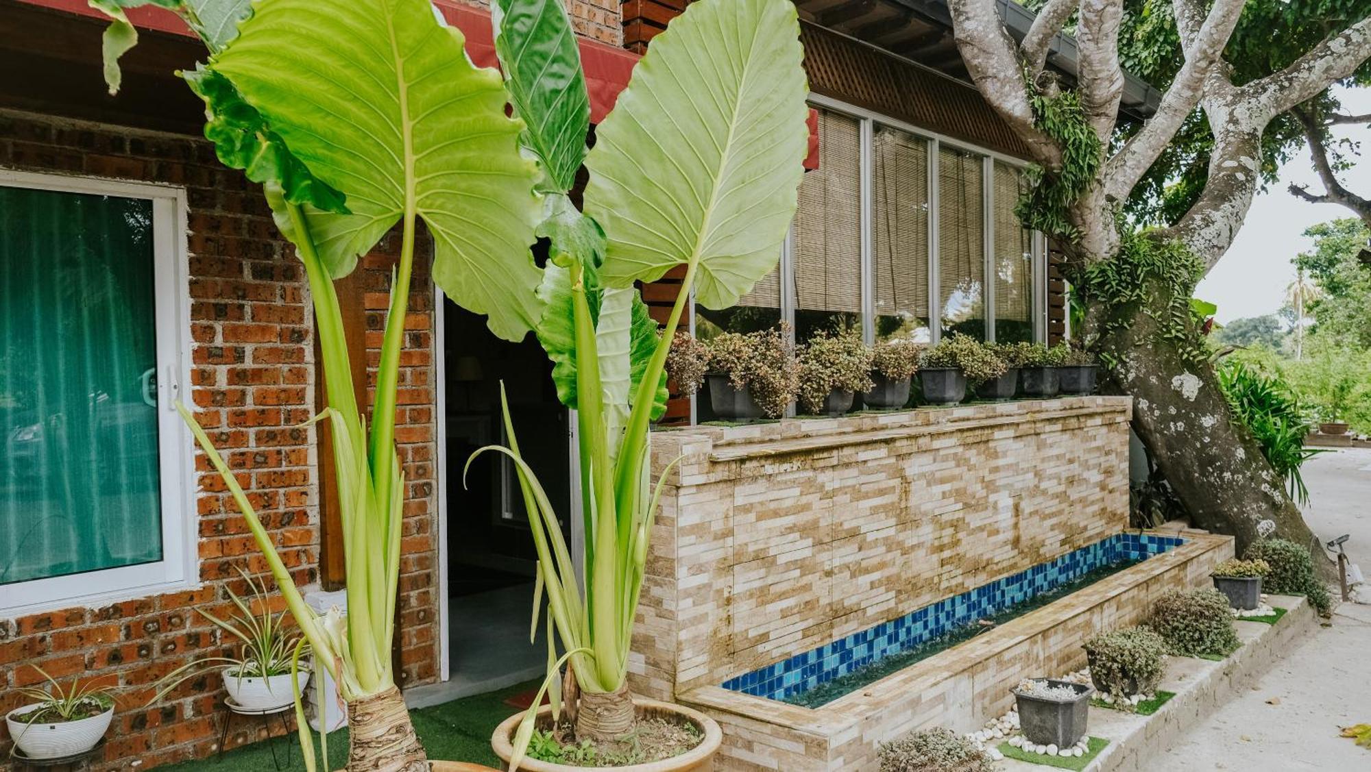 Destini Akef Villa Pantai Cenang  Exterior foto